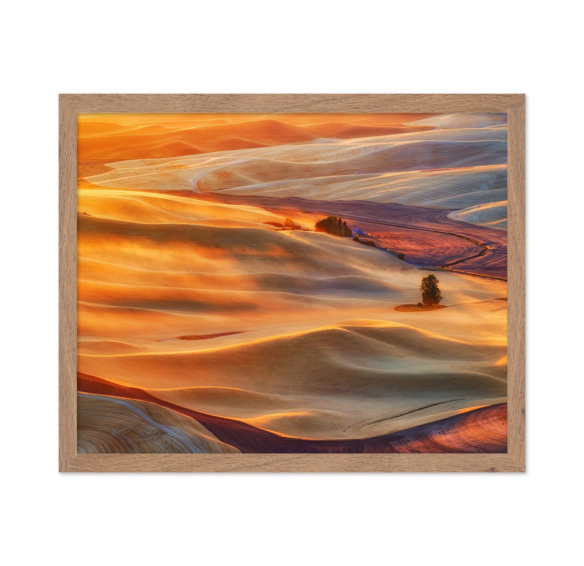 Golden Palouse
