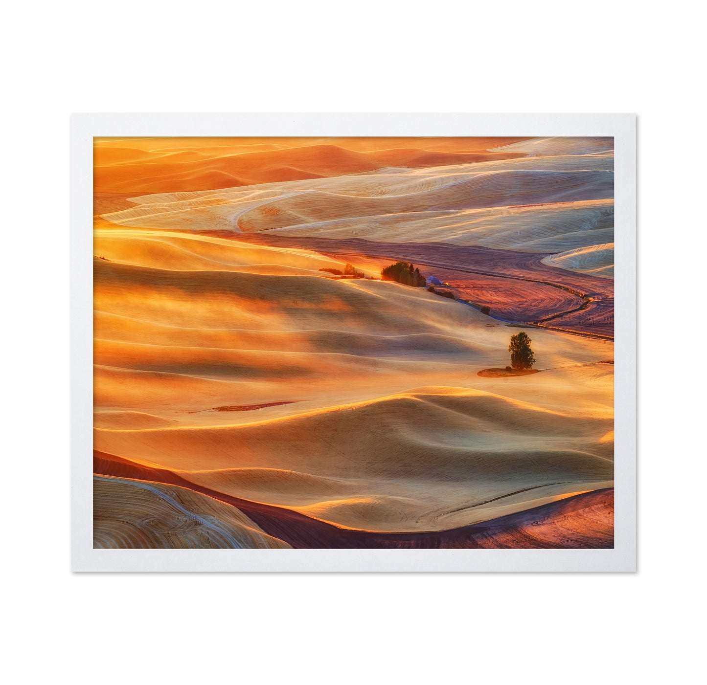 Golden Palouse