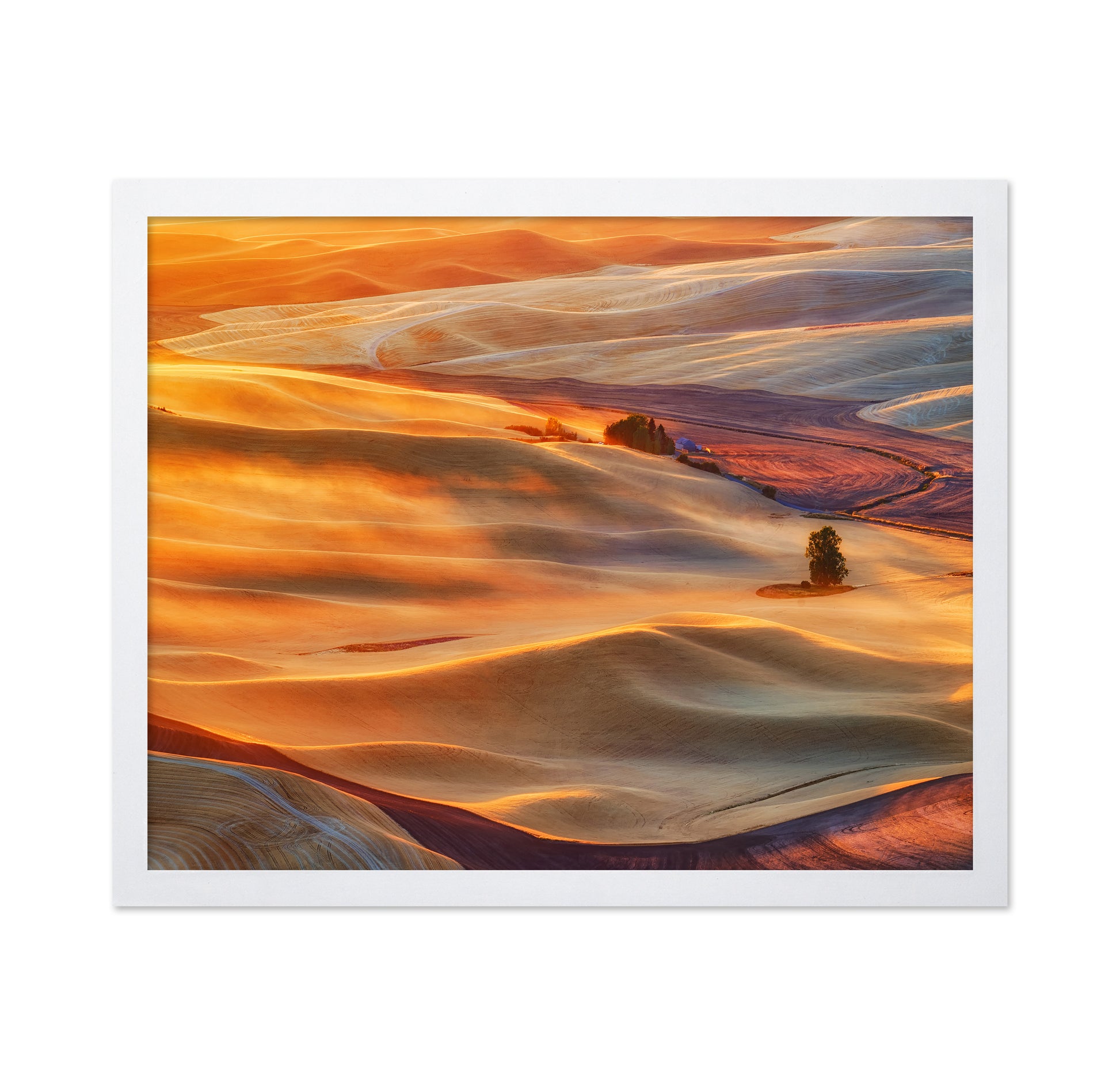 Golden Palouse