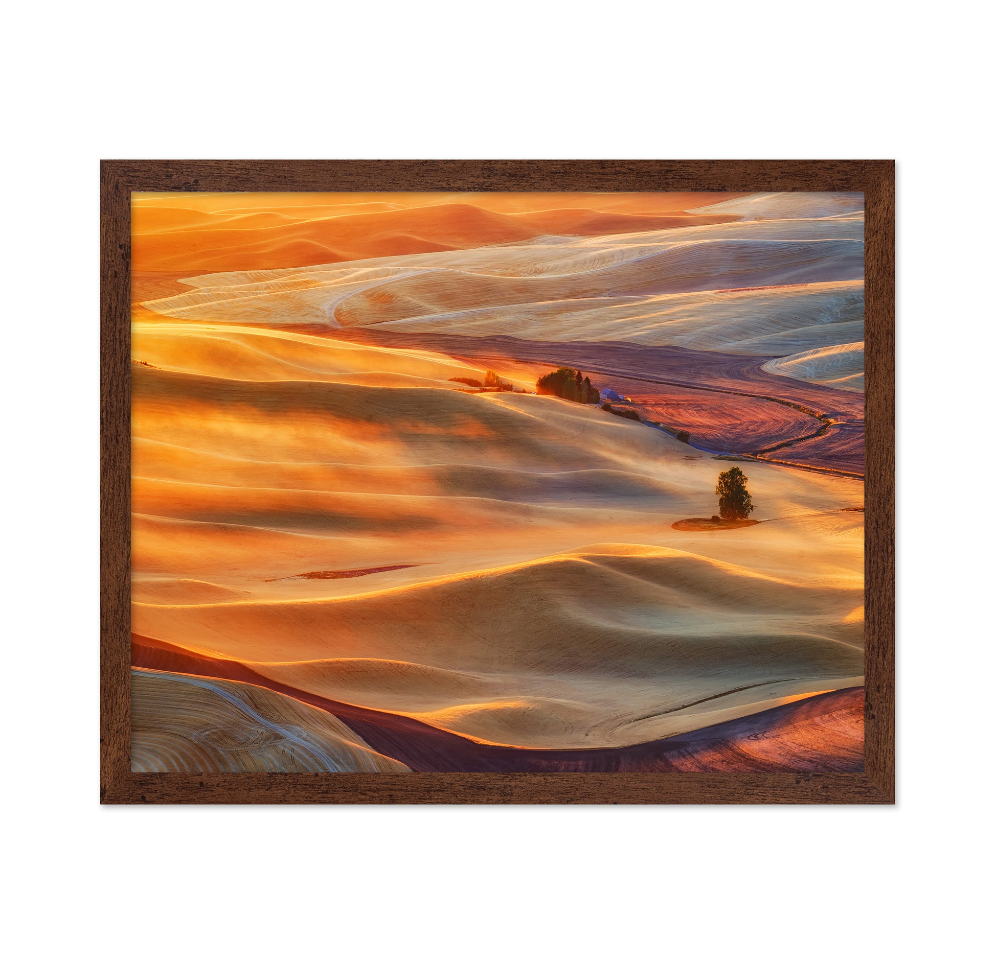 Golden Palouse
