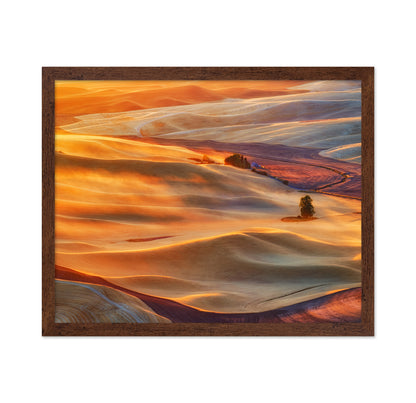 Golden Palouse