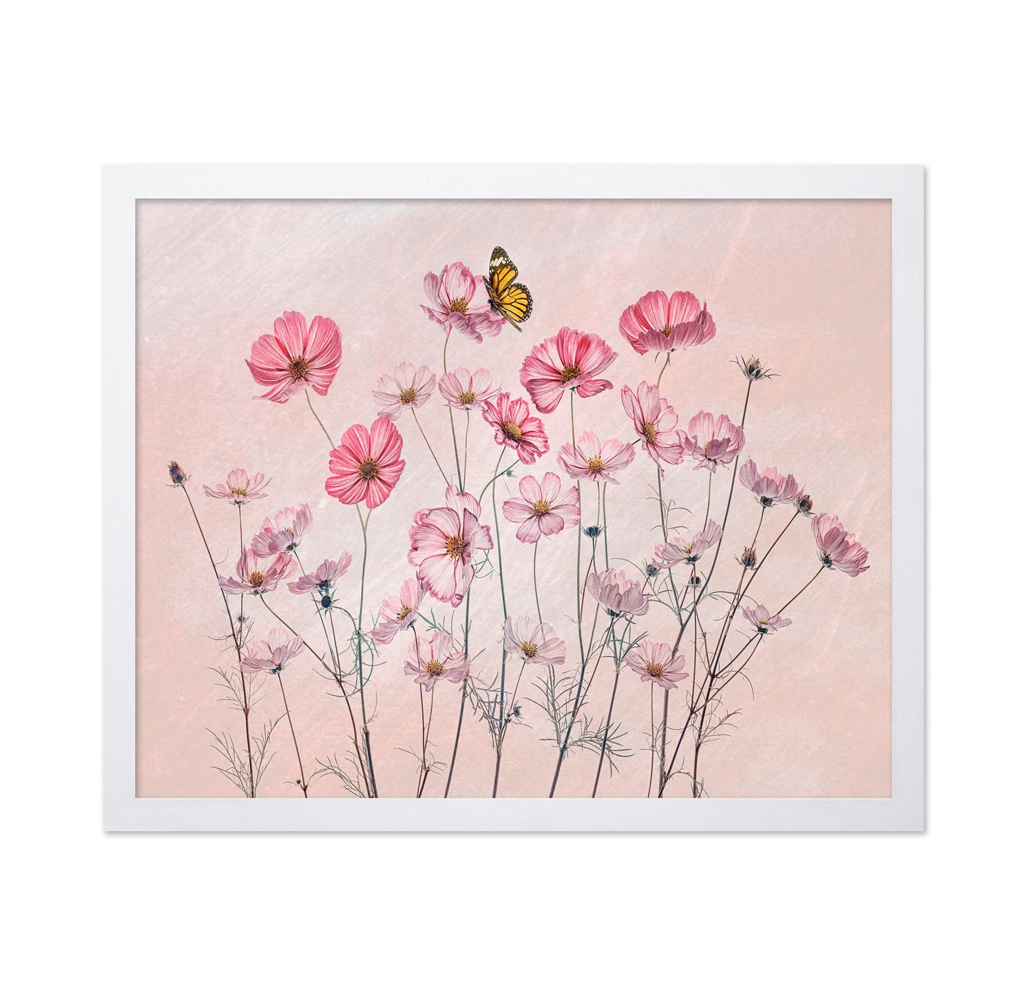 Cosmos and Butterfly