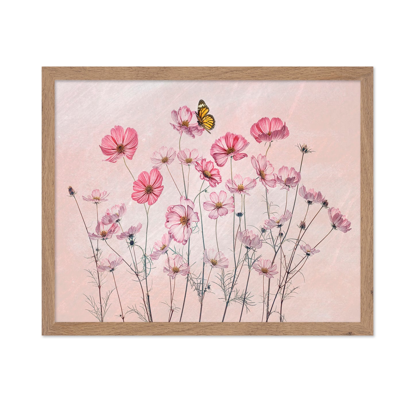 Cosmos and Butterfly