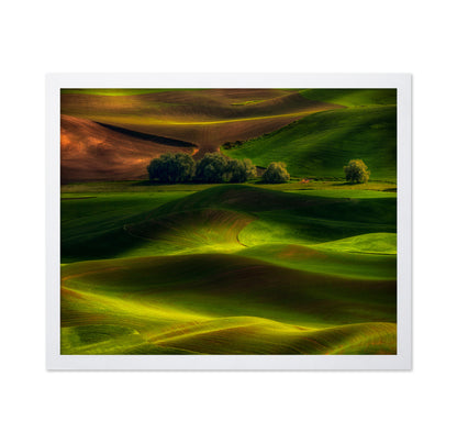 Spring in the Palouse