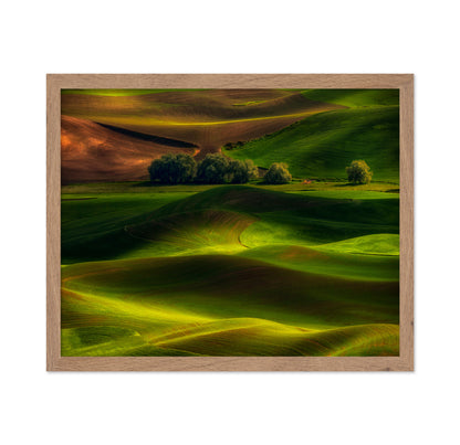 Spring in the Palouse