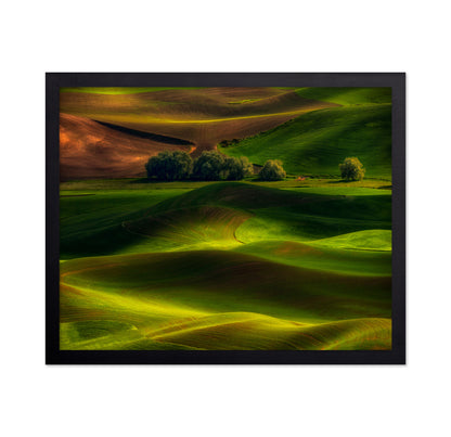 Spring in the Palouse