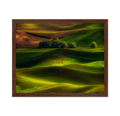 Spring in the Palouse