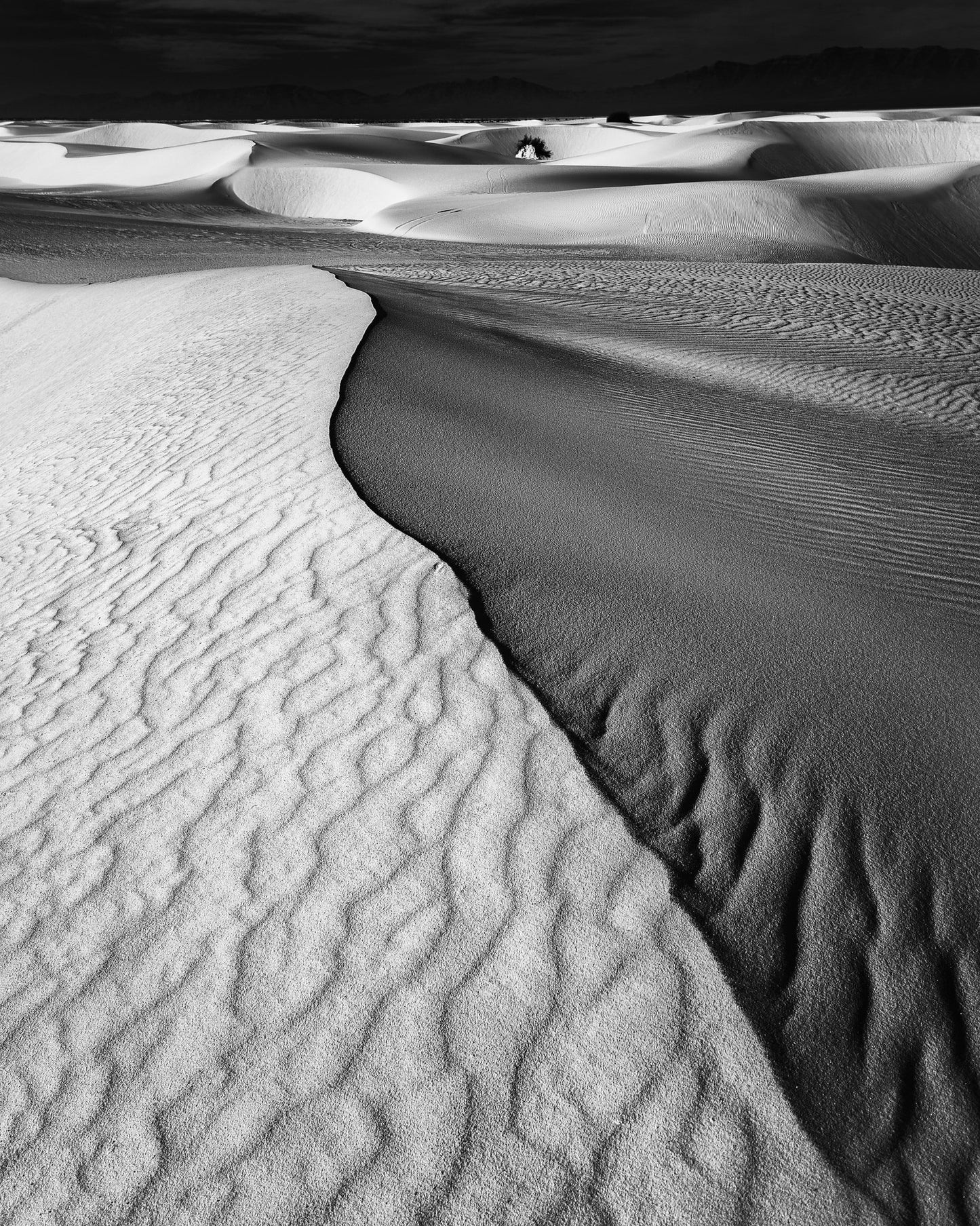 Sand Waves