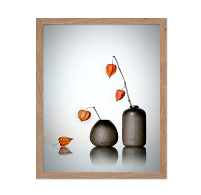 Chinese Lantern Plant