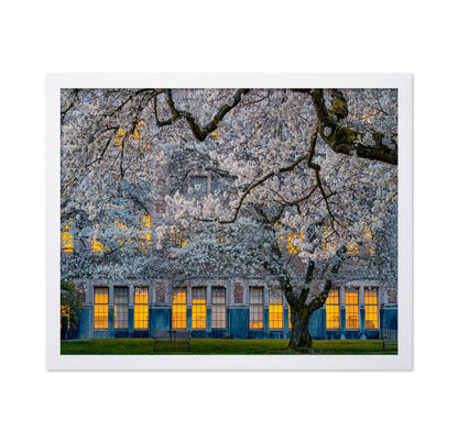 Morning At University Of Washington