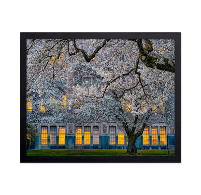Morning At University Of Washington