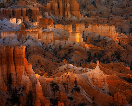 Bright Hoodoos in Bryce Canyon