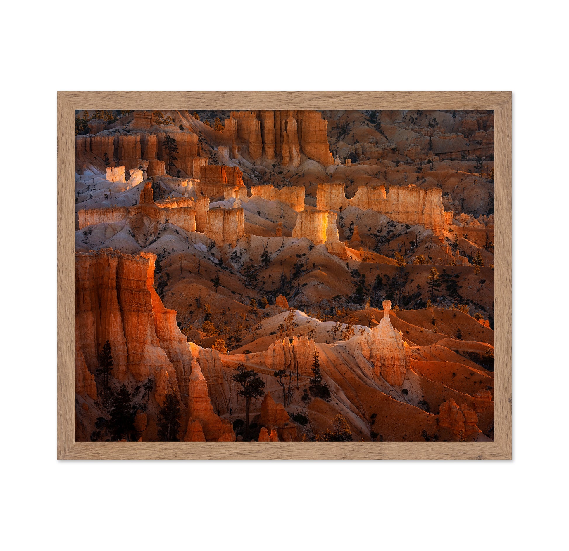 Bright Hoodoos in Bryce Canyon