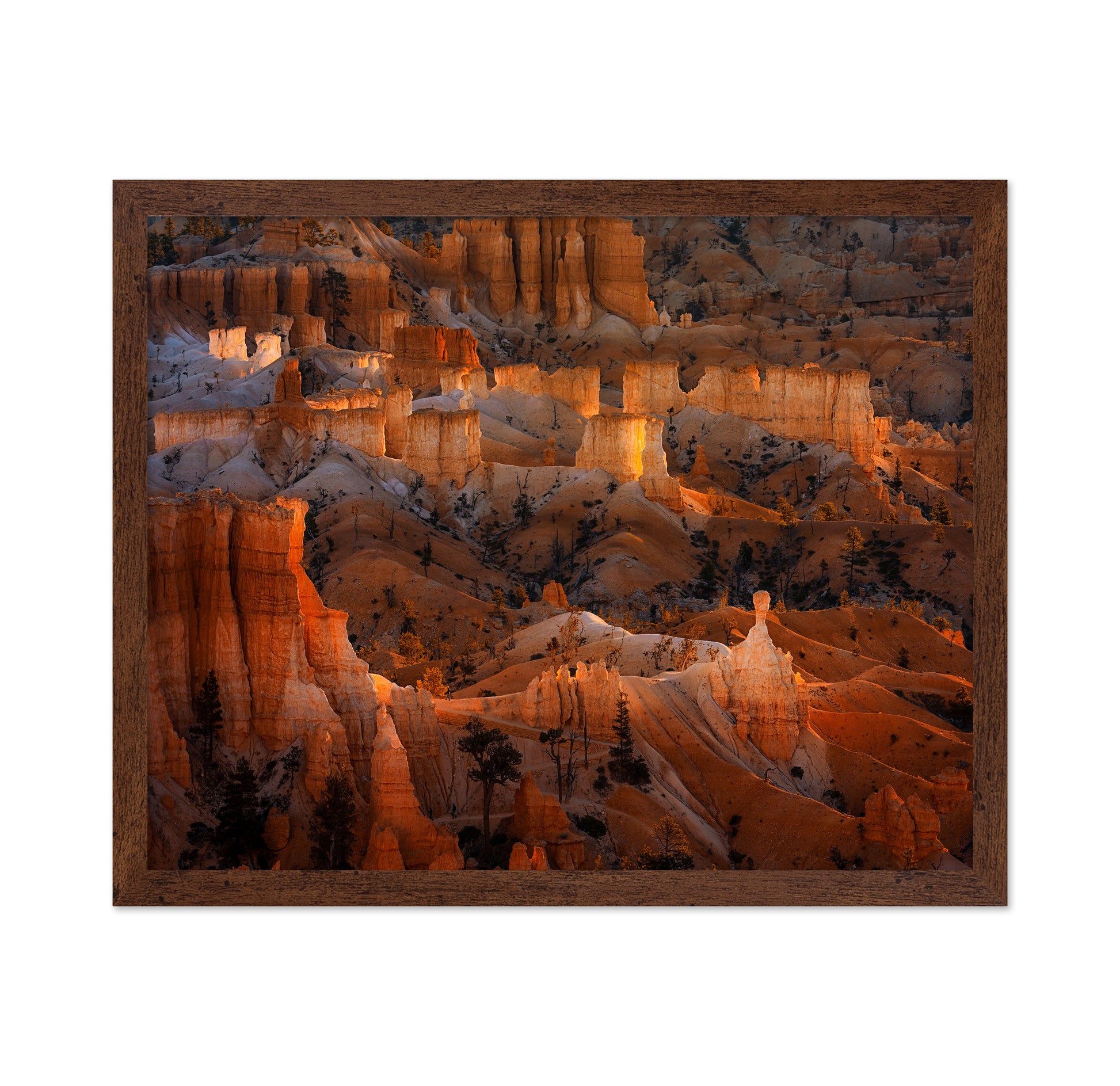 Bright Hoodoos in Bryce Canyon