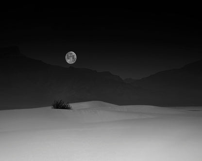 Full Moon Over White Sands