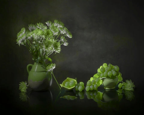 Chrysanthemum and Grape