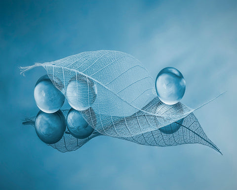Dry Leaf And Bubbles