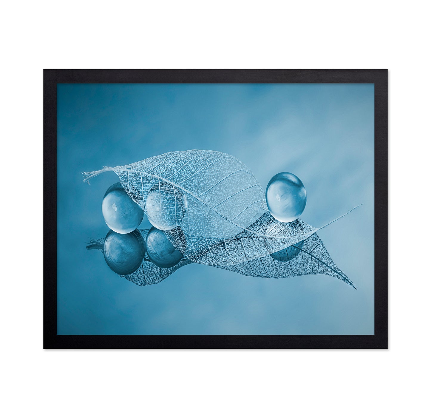 Dry Leaf And Bubbles