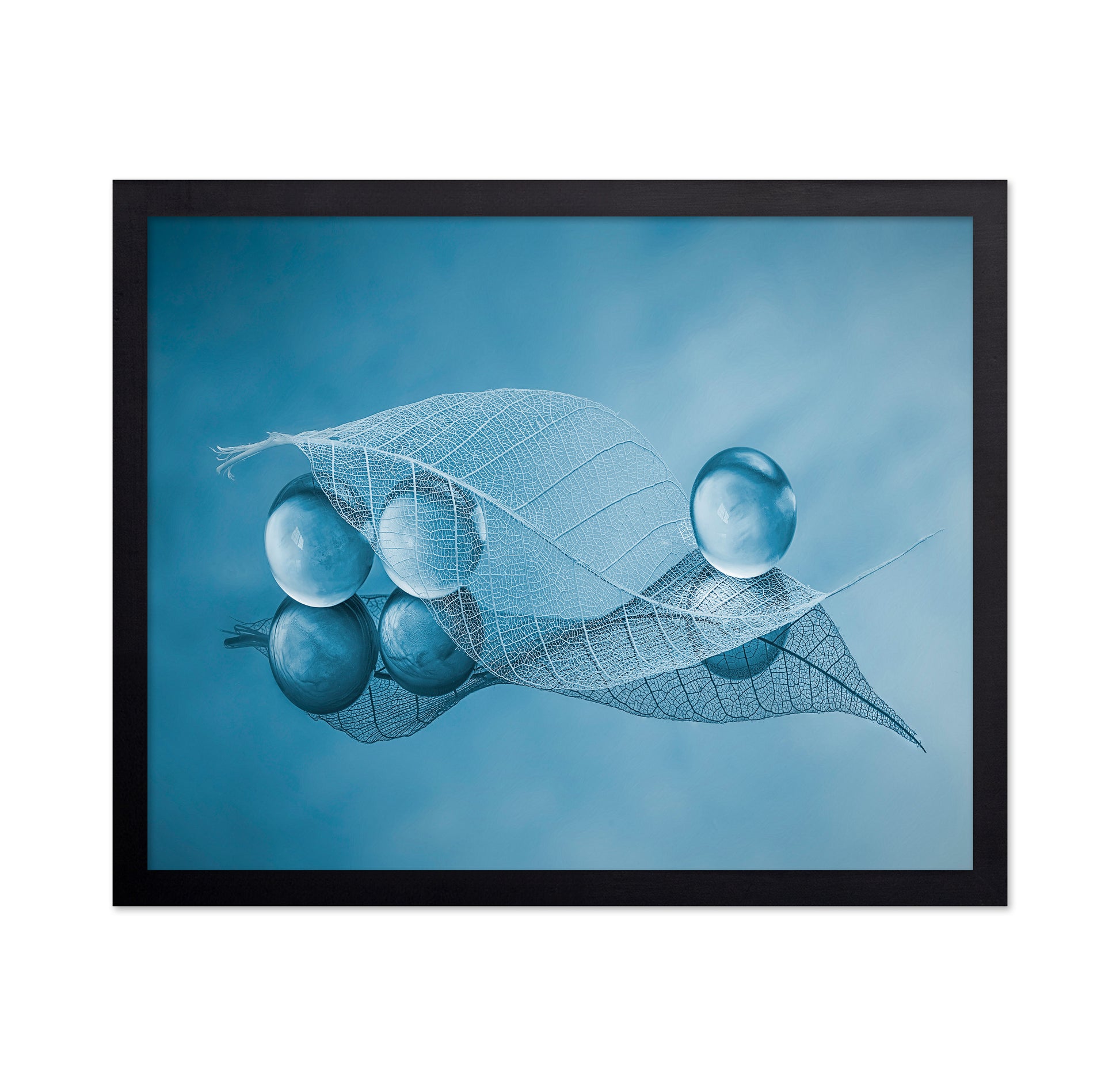 Dry Leaf And Bubbles