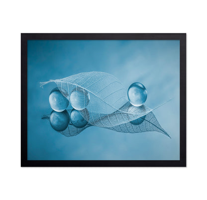Dry Leaf And Bubbles