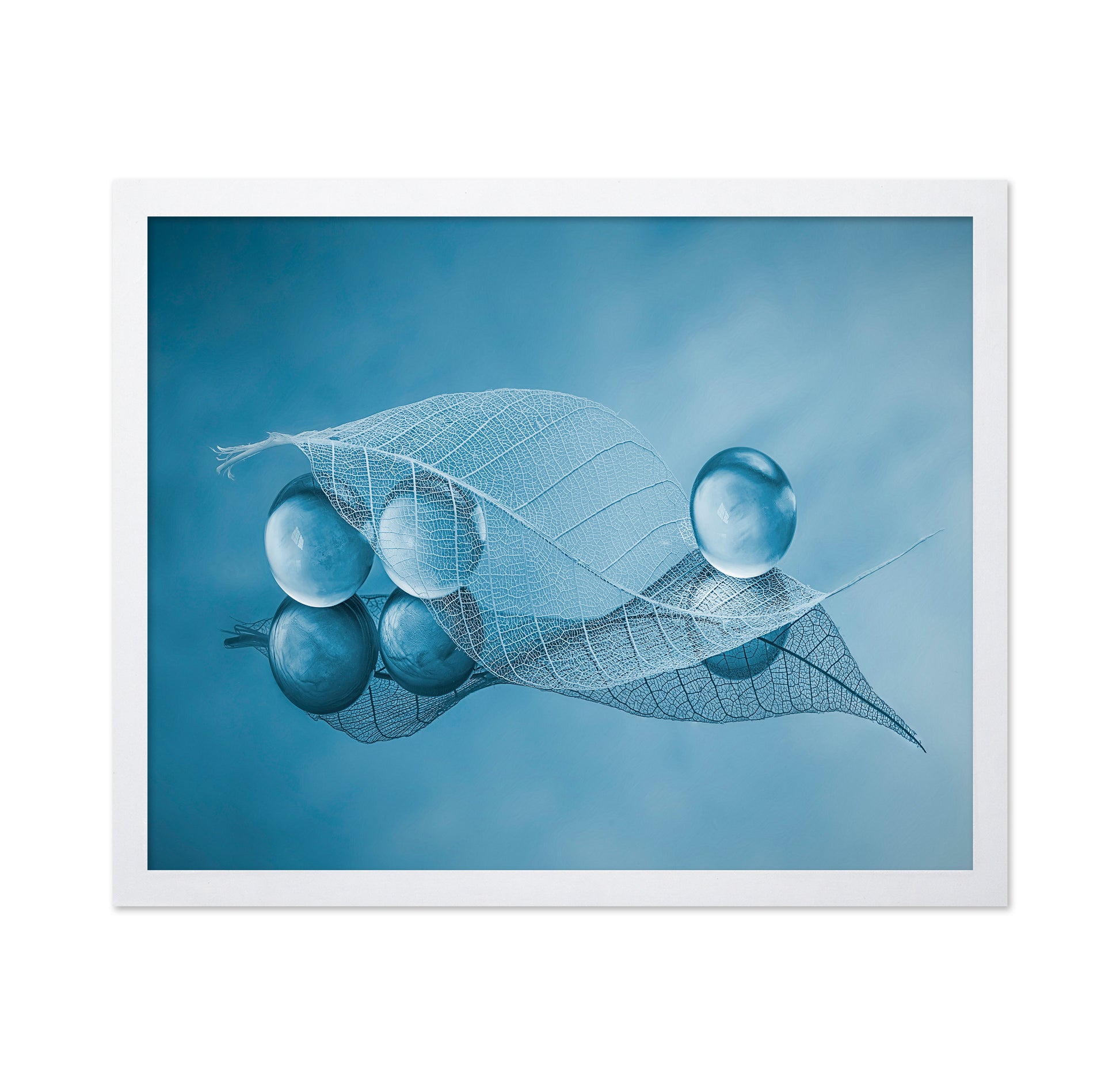 Dry Leaf And Bubbles