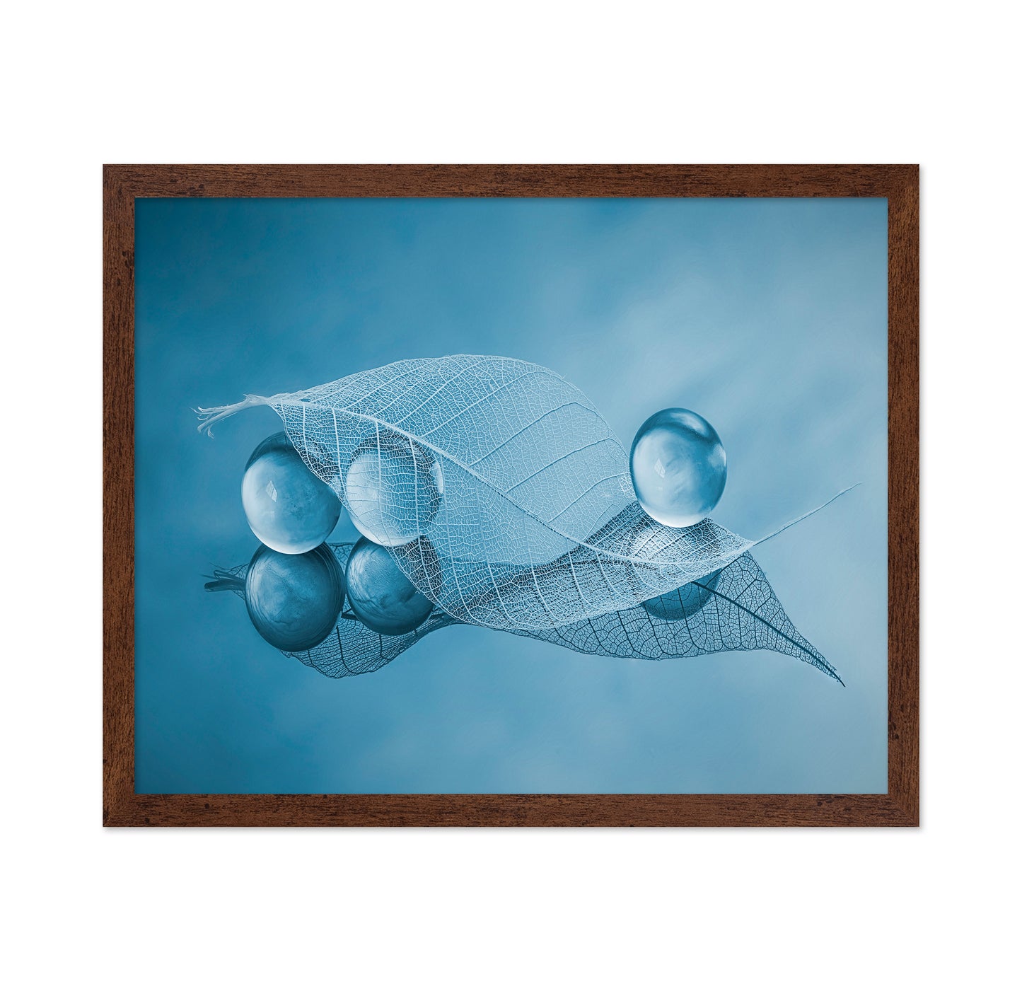 Dry Leaf And Bubbles