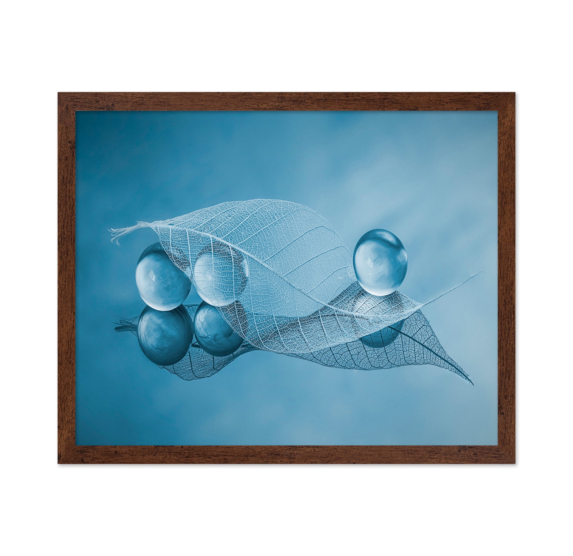 Dry Leaf And Bubbles