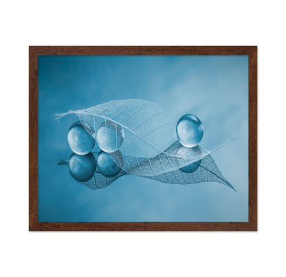 Dry Leaf And Bubbles