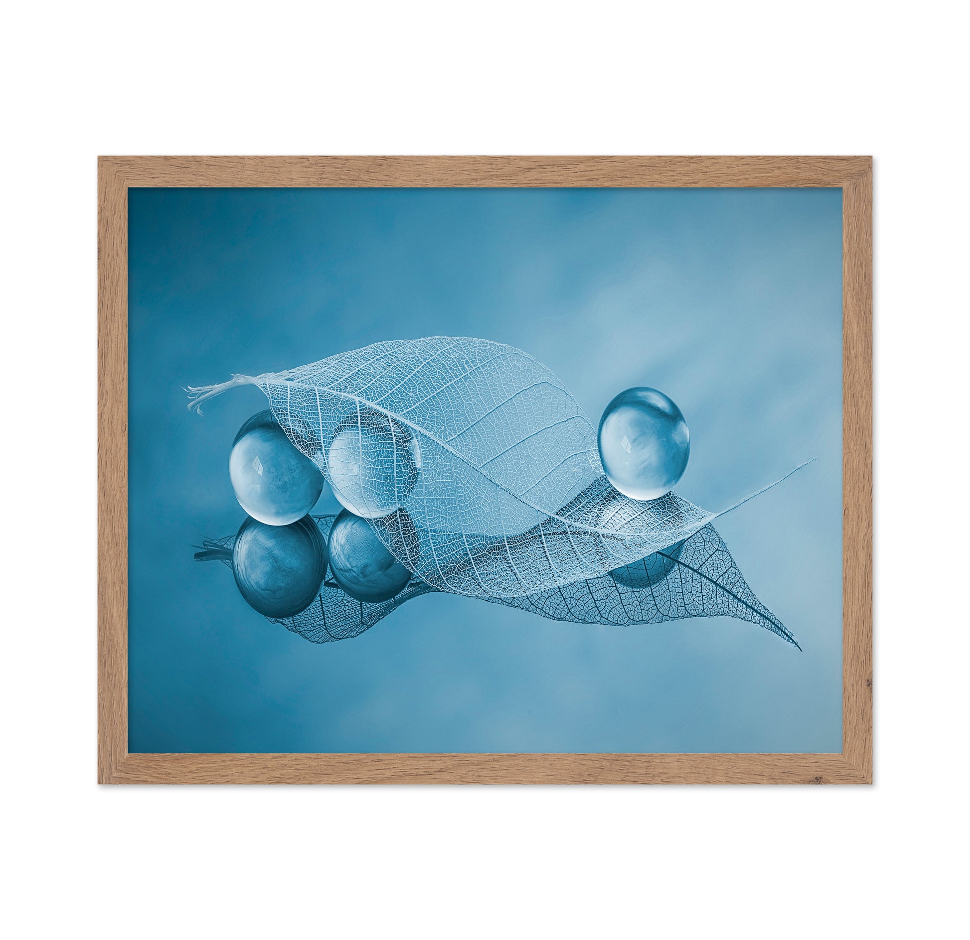 Dry Leaf And Bubbles