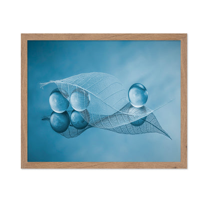 Dry Leaf And Bubbles