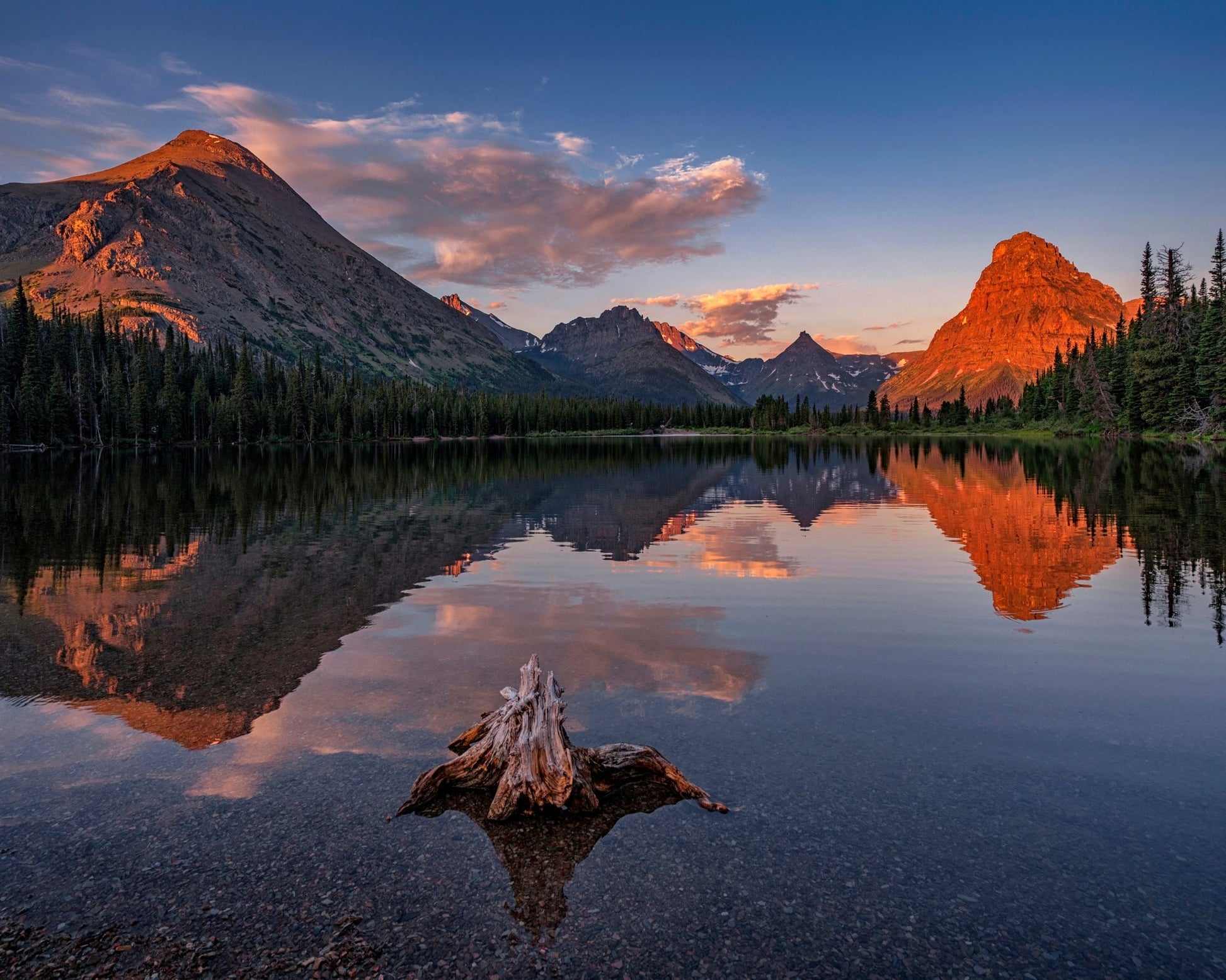 Delightful Dawn