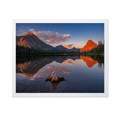 Delightful Dawn