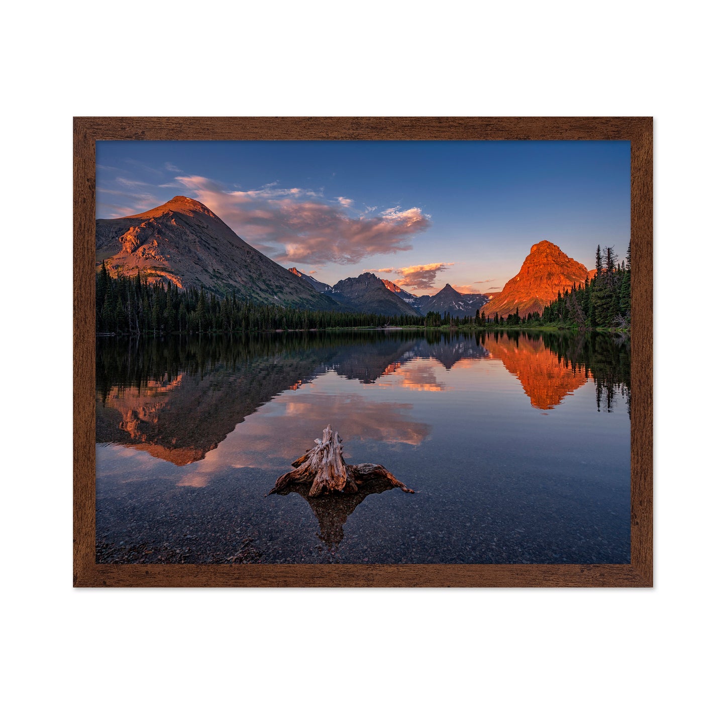 Delightful Dawn