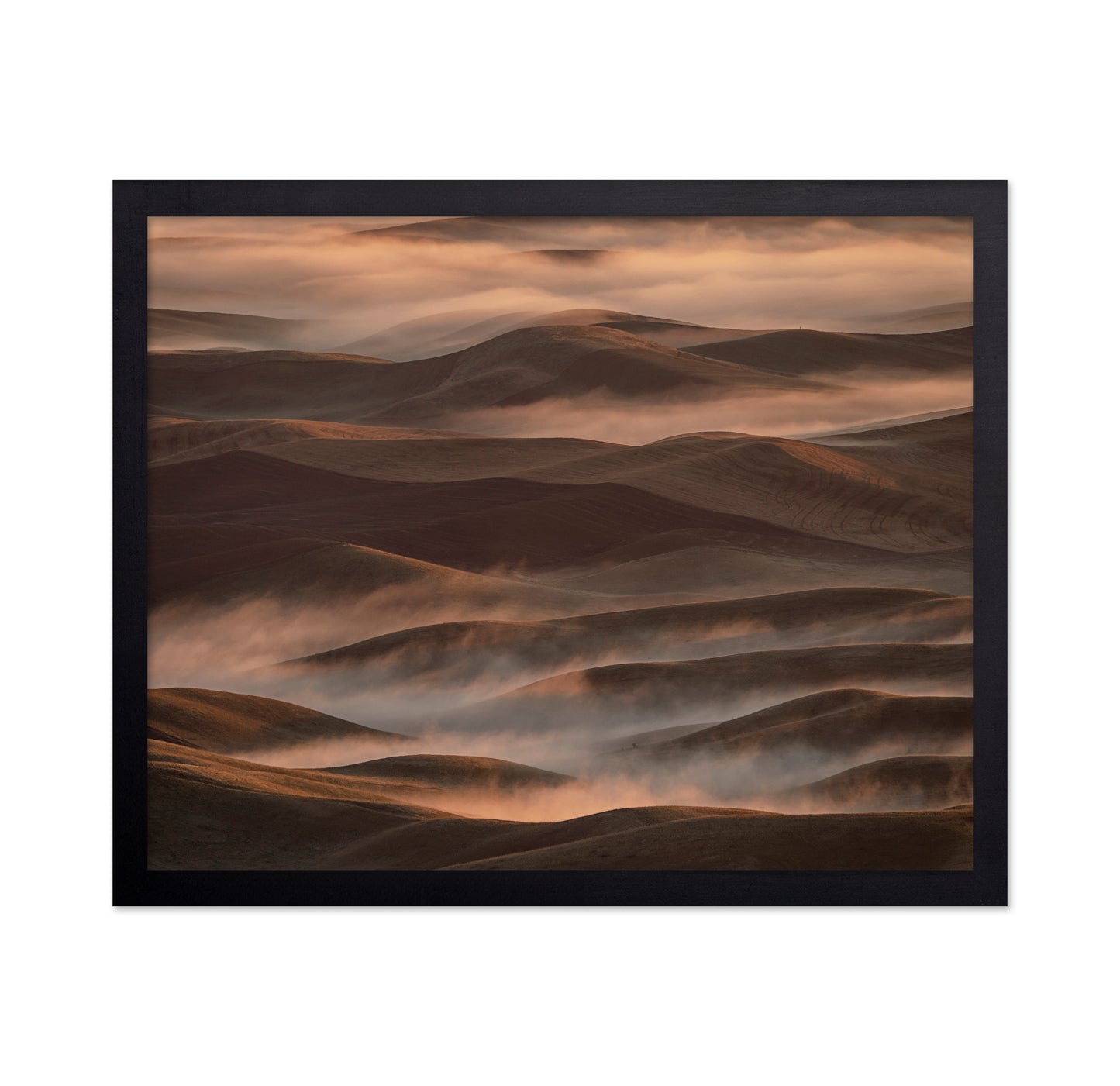 Early Spring Morning at Palouse