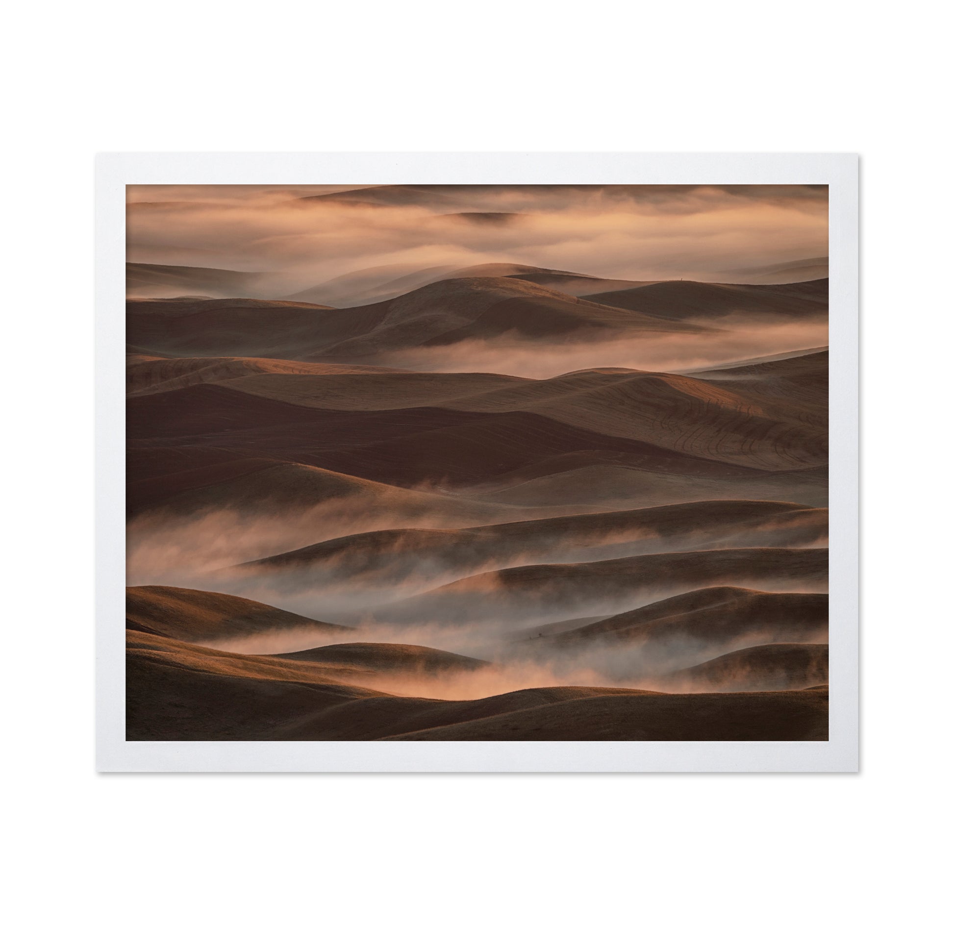 Early Spring Morning at Palouse