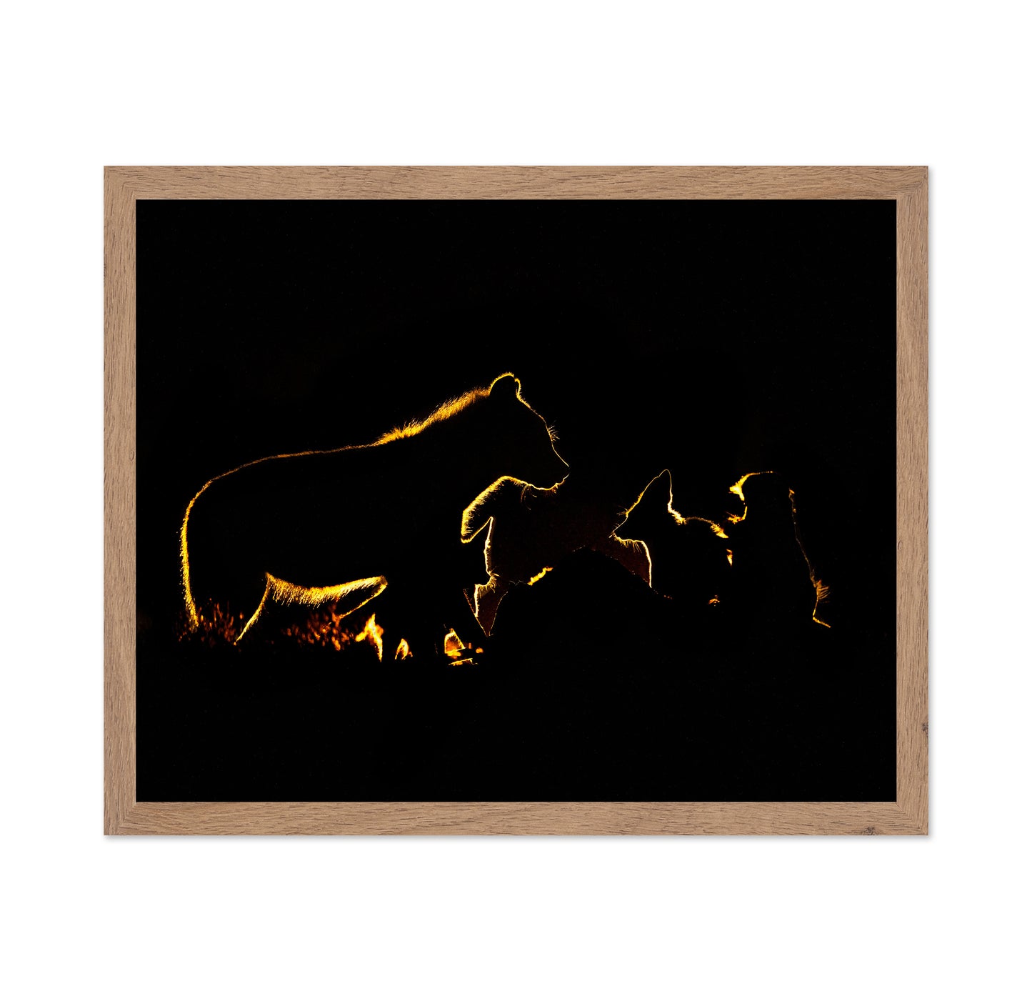 The Fight In The Night