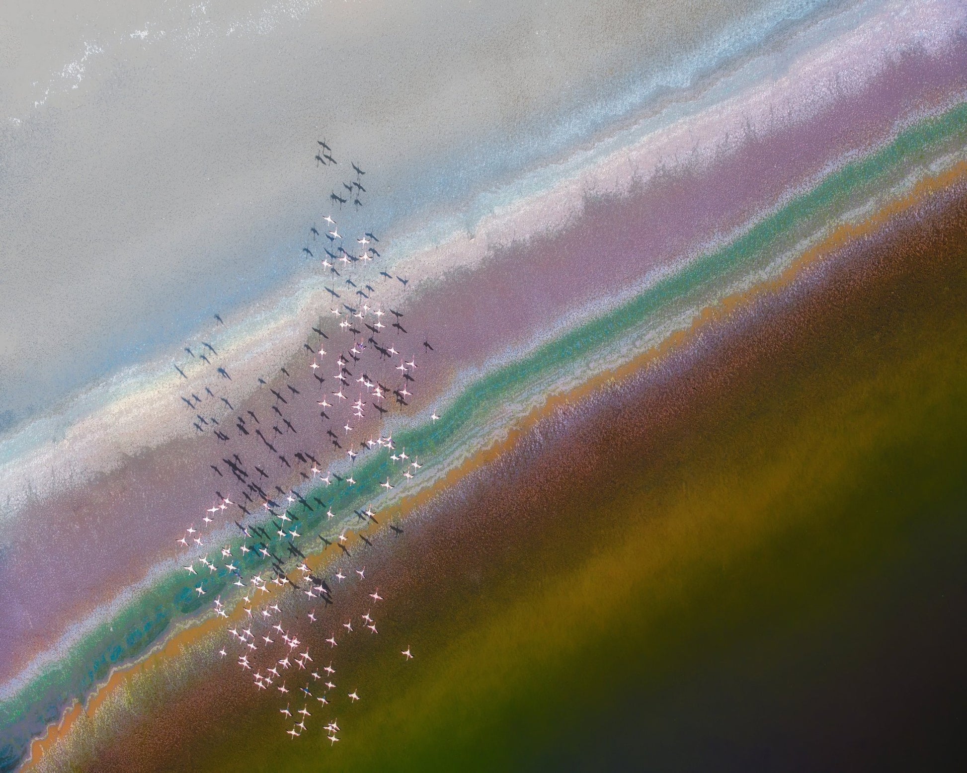Crossing Color Lines
