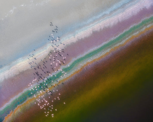 Crossing Color Lines