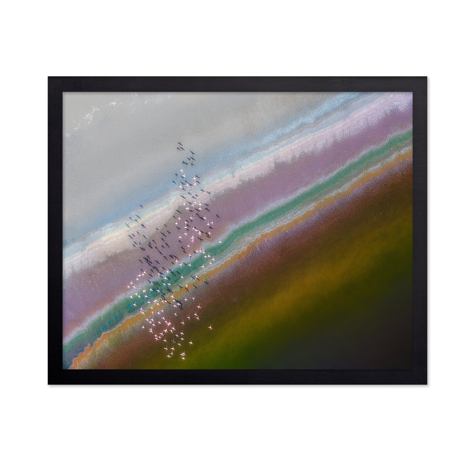 Crossing Color Lines