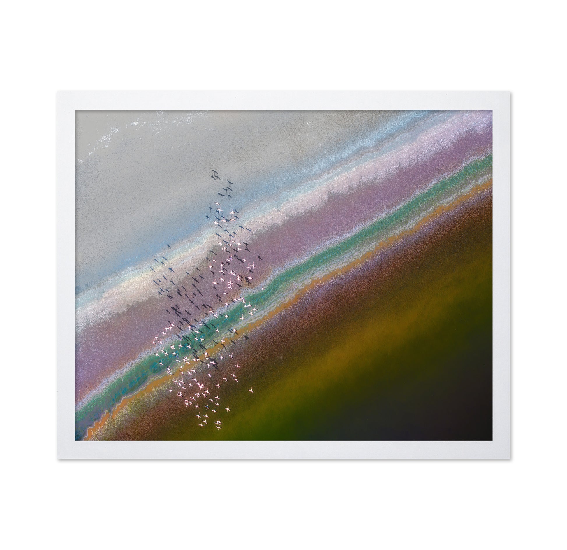 Crossing Color Lines