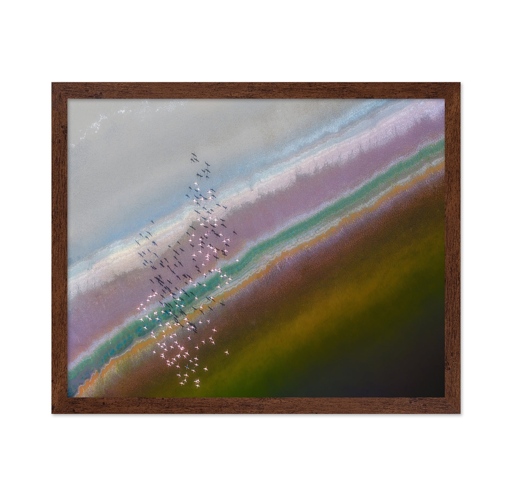 Crossing Color Lines