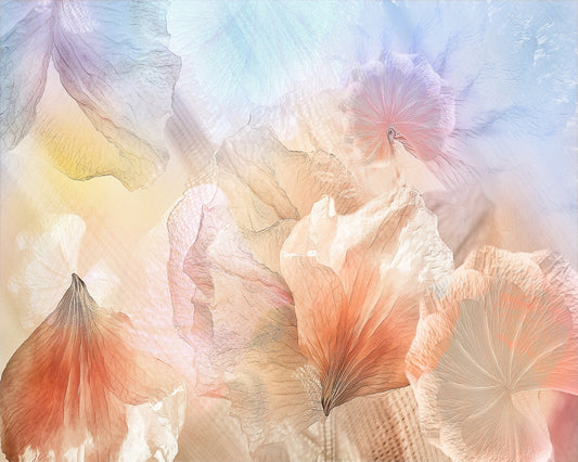 Ethereal Flowers No 2