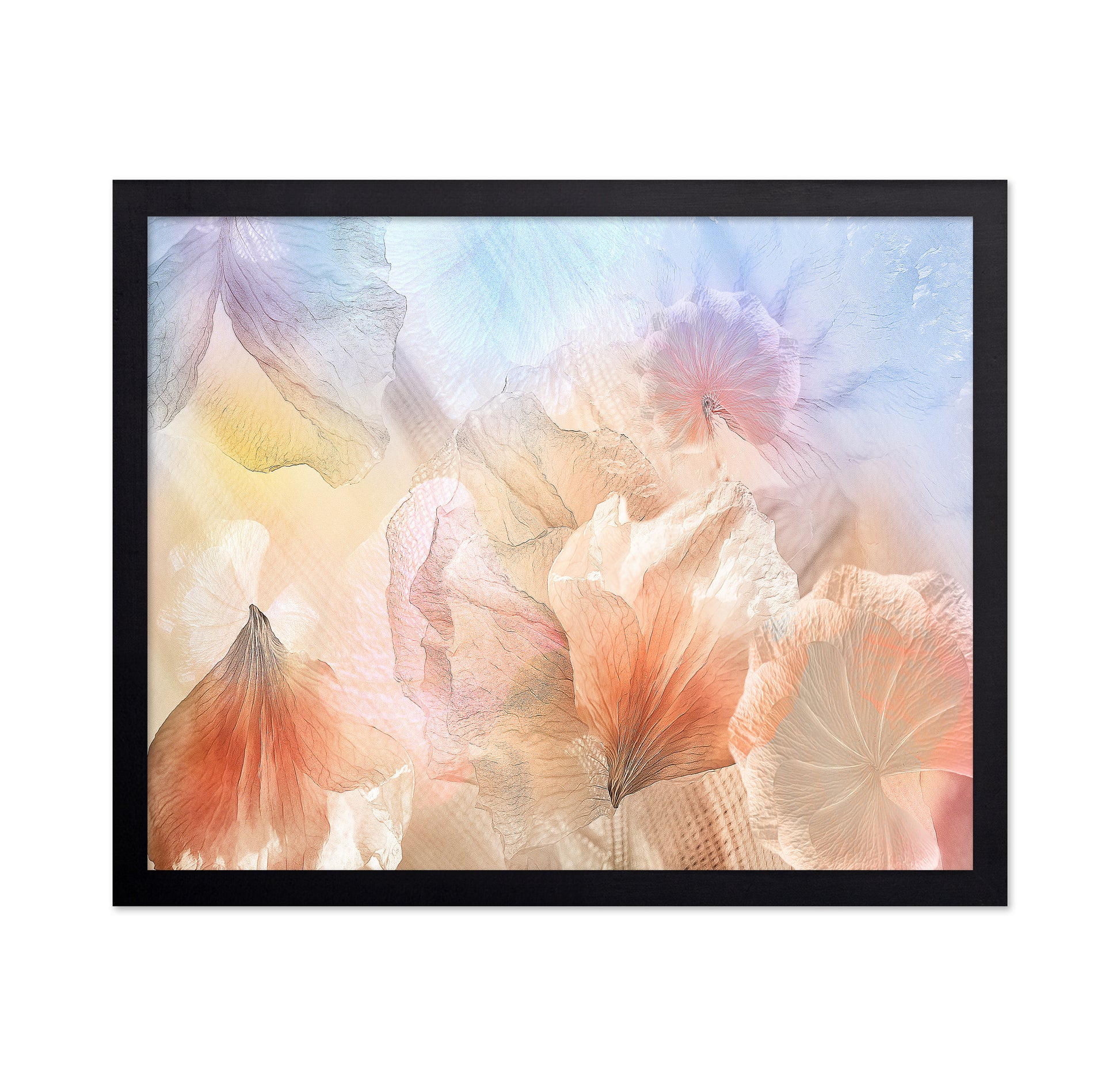 Ethereal Flowers No 2