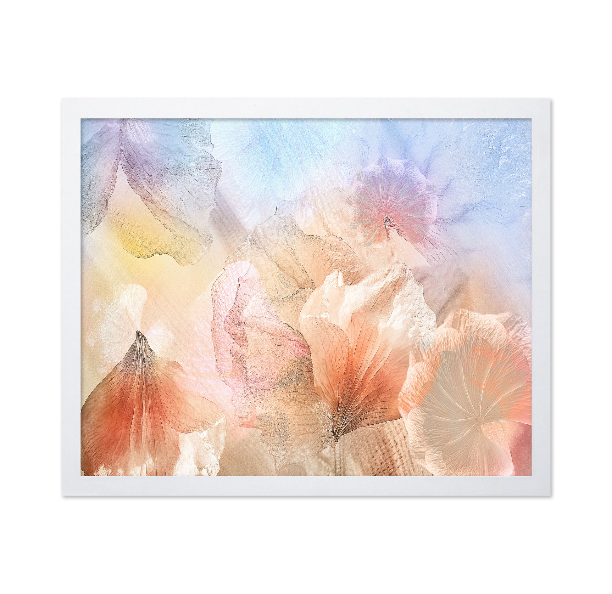 Ethereal Flowers No 2