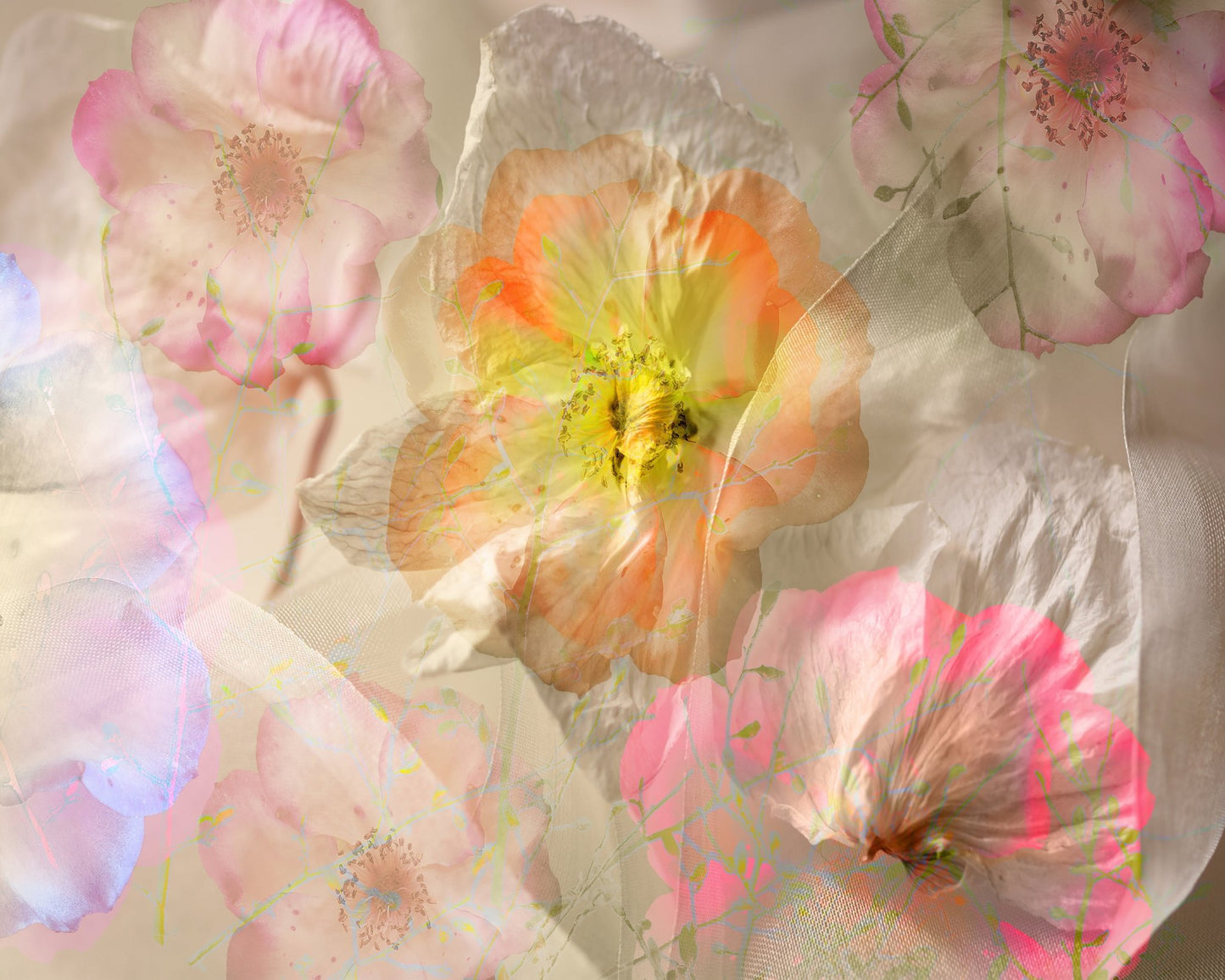 Ethereal Roses
