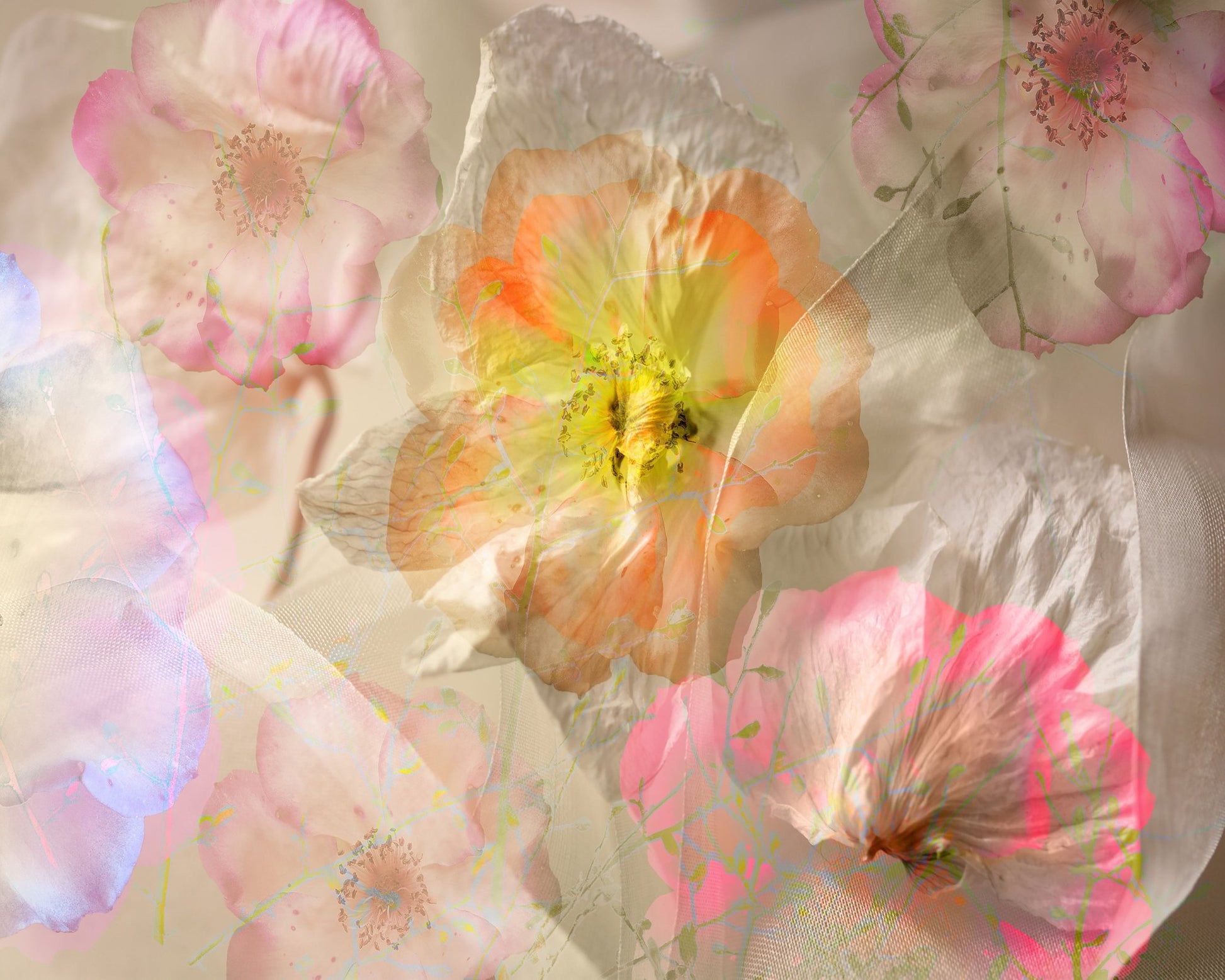 Ethereal Roses