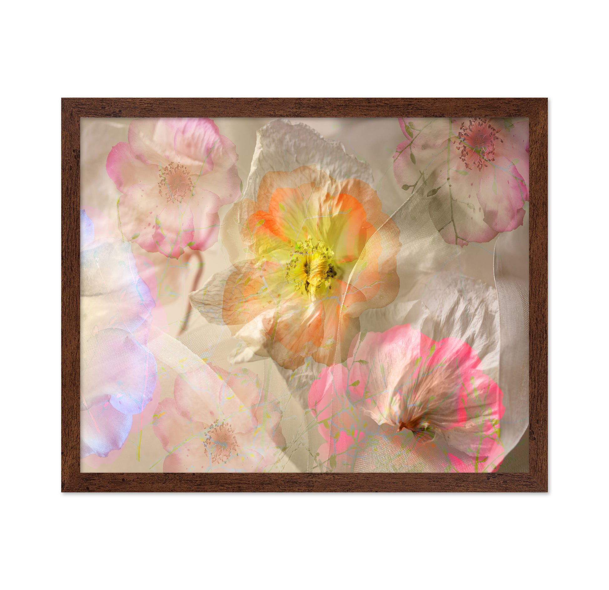 Ethereal Roses