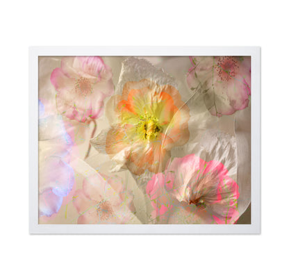 Ethereal Roses
