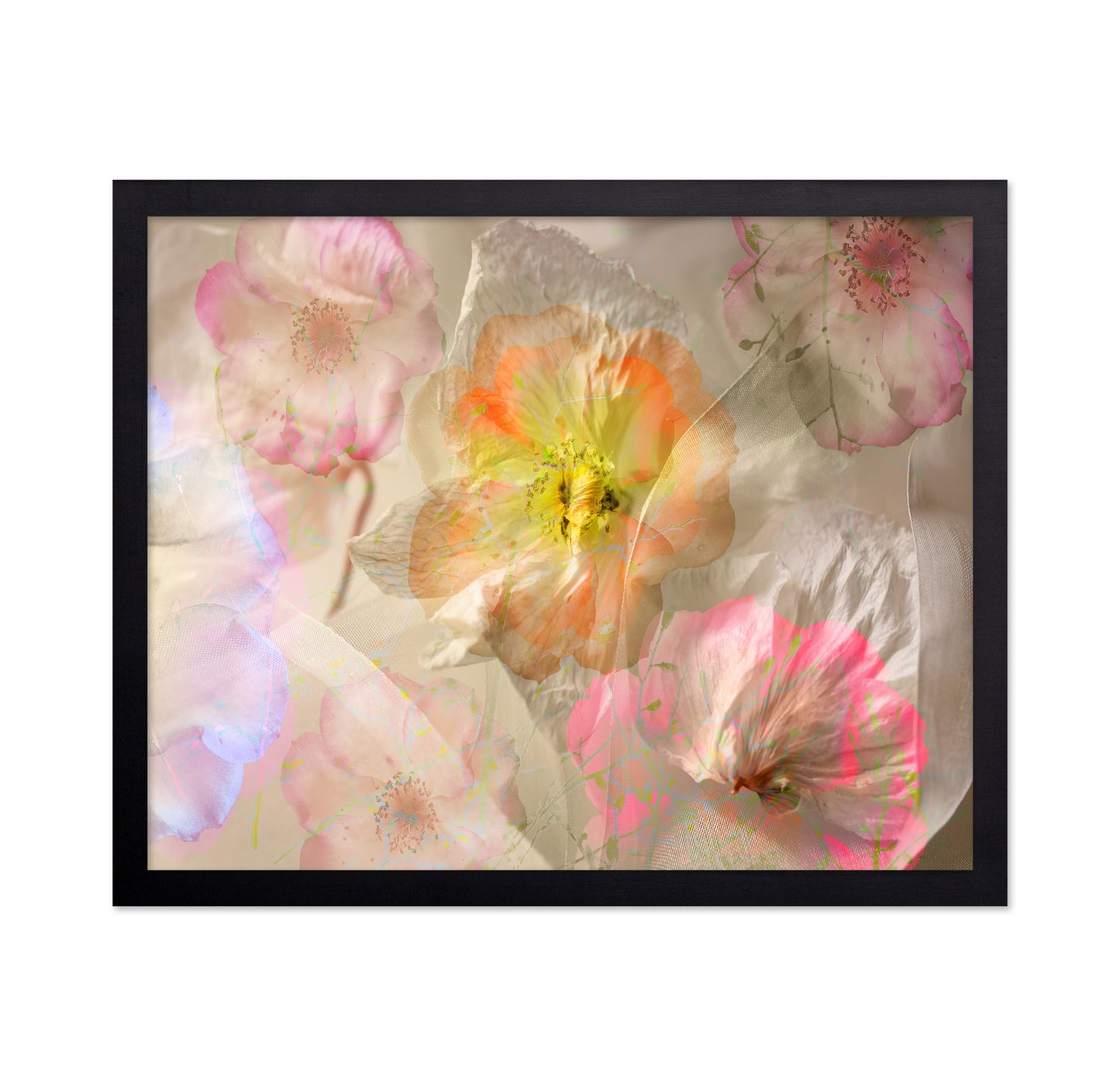 Ethereal Roses