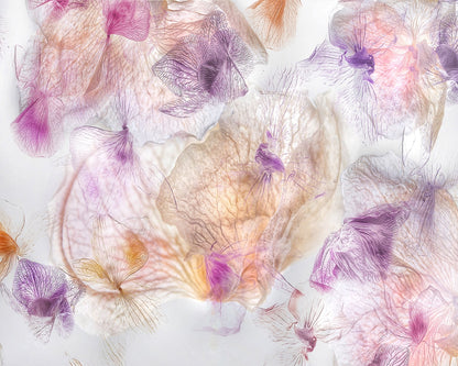 Ethereal Flowers No 1